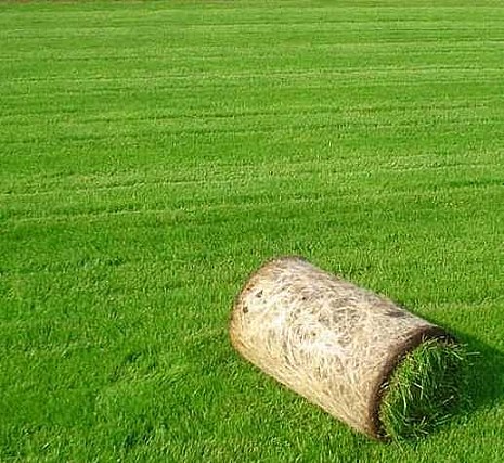 produkt